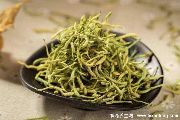 金銀花專治十種病,感冒/牙痛/痤瘡/咽喉腫痛(每天20g泡水喝好)-易網(wǎng)健康<a href=http://www.jsjjzhkt.cn/jkys/ target=_blank class=infotextkey>養(yǎng)生</a>網(wǎng) 金銀花專治十種病,感冒/牙痛/痤瘡/咽喉腫痛(每天20g泡水喝好)