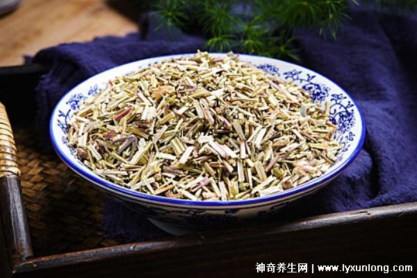 荊芥的十大神奇功效,治療風熱頭痛/咽喉腫痛(能抗過敏/消疹止癢)-易網<a href=http://www.jsjjzhkt.cn/ target=_blank class=infotextkey>健康養生</a>網 荊芥的十大神奇功效,治療風熱頭痛/咽喉腫痛(能抗過敏/消疹止癢)