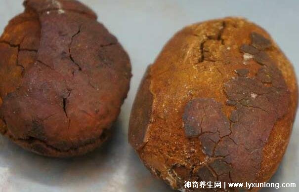 牛黃是什么東西多少錢一克,牛膽囊的膽結石500元/克(圖片)-易網<a href=http://www.jsjjzhkt.cn/ target=_blank class=infotextkey>健康養生</a>網 牛黃是什么東西多少錢一克,牛膽囊的膽結石500元/克(圖片)