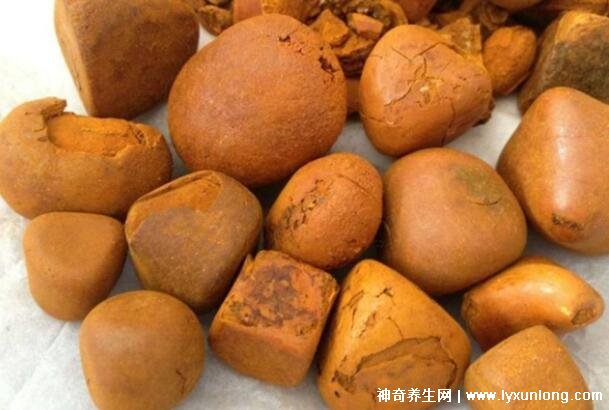 牛黃是什么東西多少錢一克,牛膽囊的膽結石500元/克(圖片)-易網健康<a href=http://www.jsjjzhkt.cn/jkys/ target=_blank class=infotextkey>養生</a>網 牛黃是什么東西多少錢一克,牛膽囊的膽結石500元/克(圖片)