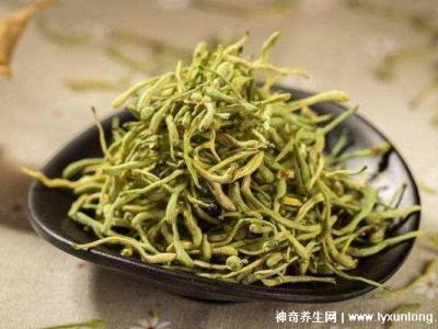 金銀花專治十種病,感冒/牙痛/痤瘡/咽喉腫痛(每天20g泡水喝好)