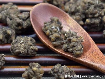 三種人不易吃貓抓草,陰虛體質(zhì)/孕婦小兒/過(guò)敏者慎用