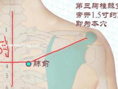 穴位肺俞的準確位置圖片和功效，2個找肺俞最笨方法(止咳化痰)