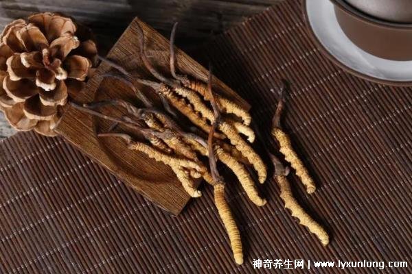 野生蟲草多少錢一斤,幾萬(wàn)至十萬(wàn)元以上(與產(chǎn)地/采集時(shí)間有關(guān))-易網(wǎng)<a href=http://www.jsjjzhkt.cn/ target=_blank class=infotextkey>健康養(yǎng)生</a>網(wǎng) 野生蟲草多少錢一斤,幾萬(wàn)至十萬(wàn)元以上(與產(chǎn)地/采集時(shí)間有關(guān))