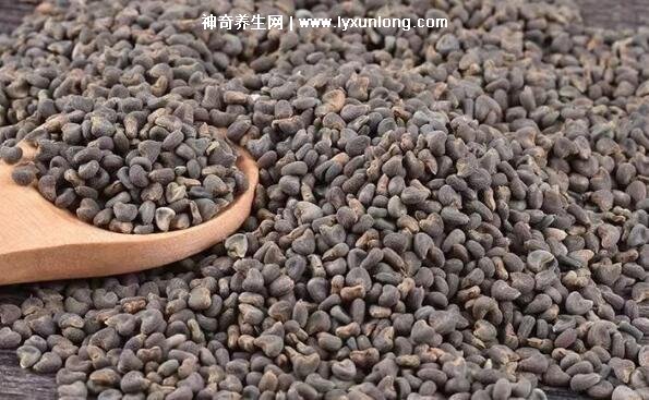 沙苑子泡水三大禁忌，十種人不能吃沙苑子(不能天天喝)