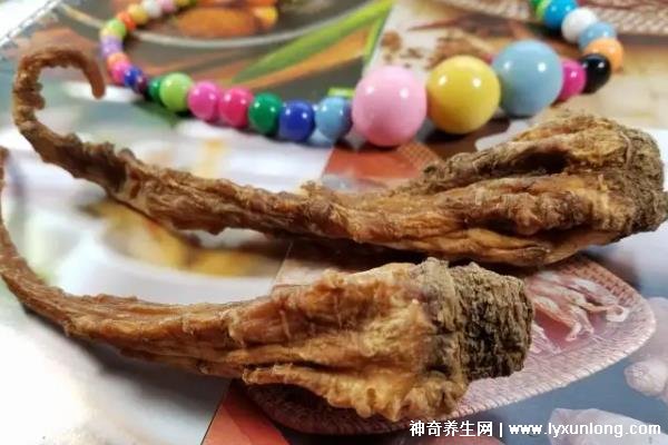 藏雪參的功效與作用吃法,預防高血糖/延年益壽(可泡水喝/煲湯)-易網健康<a href=http://www.jsjjzhkt.cn/jkys/ target=_blank class=infotextkey>養生</a>網 藏雪參的功效與作用吃法,預防高血糖/延年益壽(可泡水喝/煲湯)