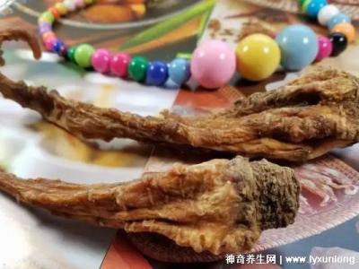 藏雪參的功效與作用吃法，預(yù)防高血糖/延年益壽(可泡水喝/煲湯)